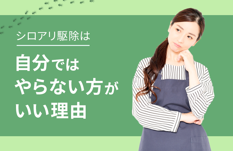 >シロアリ駆除は自分でやらない方がいい理由