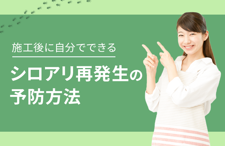 施工後に自分でできるシロアリ再発生の予防方法