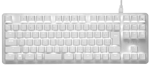 Razer BlackWidow Lite RZ03-02640800-R3J1