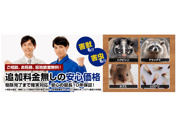 株式会社NEO
