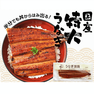 うなぎ屋かわすい
